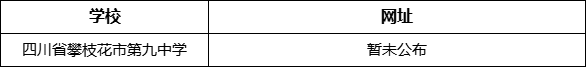 四川省攀枝花市第九中學(xué)網(wǎng)址是什么？