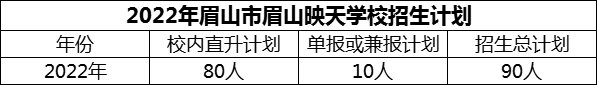 2024年眉山市眉山映天學(xué)校招生計(jì)劃是多少？