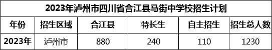 2024年瀘州市四川省合江縣馬街中學(xué)校招生計(jì)劃是多少？