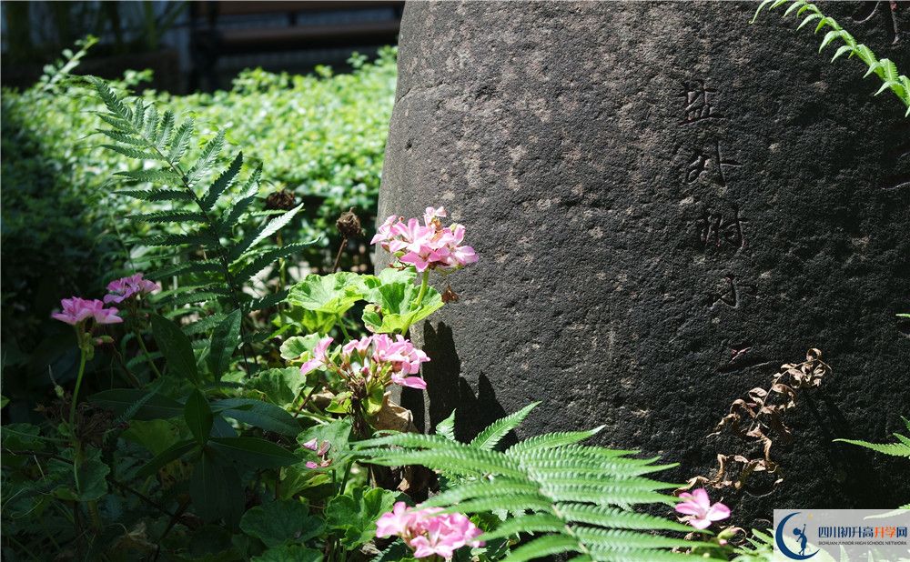 石室聯(lián)合中學(xué)蜀華分校住宿費用是多少？