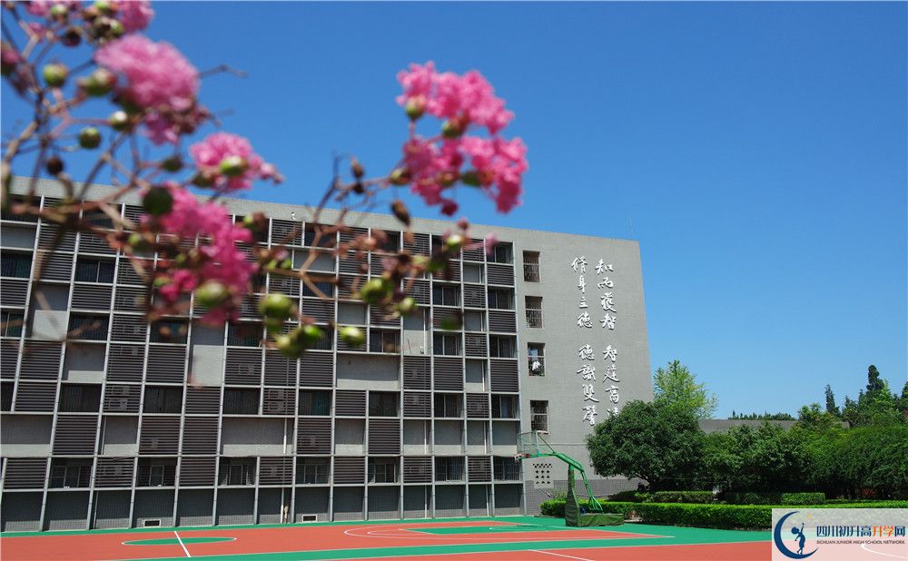 四川師范大學實驗外國語學校2019年中考錄取分數線